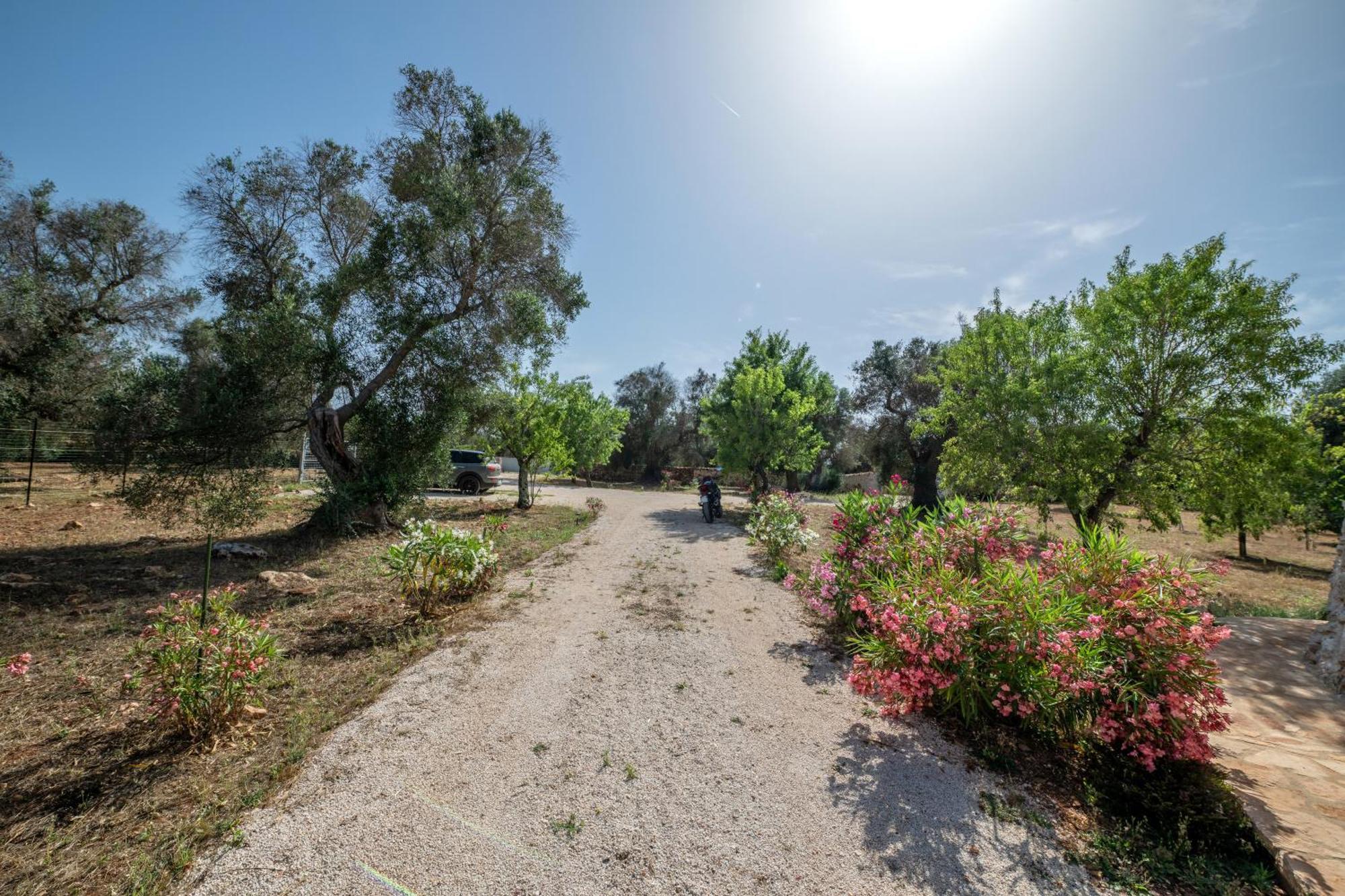 Il Trullo Di Mariangela Villa Ceglie Messapica Luaran gambar